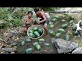 Primitive Wildlife - Eating delicious - Cacth And Cooking Fish Eating With Watermelons