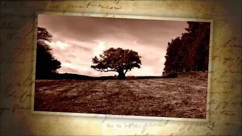 Jeff  Callahan - Where You've Been
