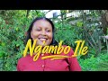 Ng Ambo Ile Official Video The Delegates Tanzania Gospel Singers 