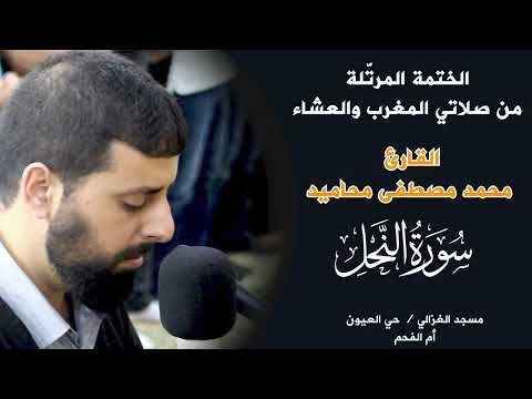 جديد تلاوة هادئة وخاشعة لسورة النحل كاملة للشيخ محمد مصطفى محاميد القران الكريم Surat An Nahl 