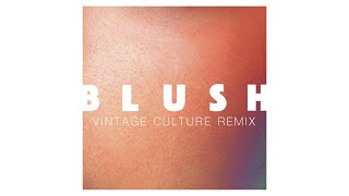 Video thumbnail of "Elekfantz - Blush (Vintage Culture Extended Remix) [Audio]"