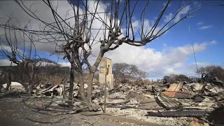 At least 106 dead from Maui fires as families begin learning the fate of lost loved ones