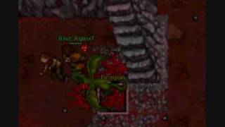 kill dragon tibia