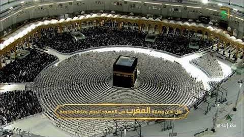 تلاوة مميزة من سورة الأحزاب 41-48 للشيخ د. #بندر_بليلة مغرب الأربعاء 18 شوال 1446هـ