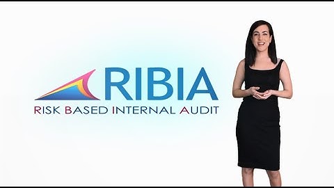 ☁️ RIBIA | Risk Based Internal Audit Tool ☁️ English Version