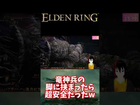 【ELDEN RING】 竜人兵の脚に挟まったら、超安全だったw 抜けたら、危険だった【長月紅葉】