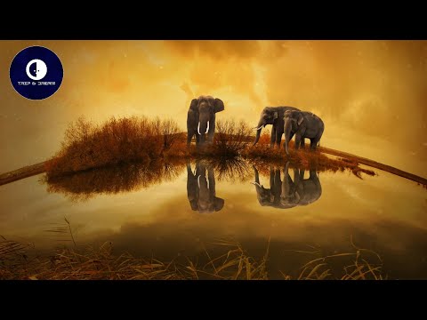 KELLAR - Eden ◆ PROGRESSIVE HOUSE ◆