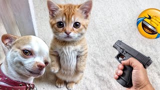 When God sends you a funny cat and dog😍Funniest cat and dog ever😻🐕‍🦺# 6