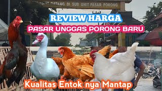 REVIEW  UNGGAS DI PASAR PORONG BARU ‼️ Entok nya bagus2 dan stok melimpah