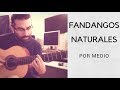 Guitarra Flamenca-Iniciación-FANDANGOS NATURALES POR MEDIO