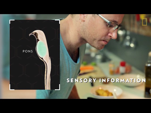 National Geographic Reading Explorer 3- Unit 10 Brain Power - YouTube