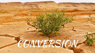 SUNNY FRUIT – CONVERSION [OFFICIAL MUSIC VIDEO] 🔥 Background Music 🔴 Uplifting Music 🔥 Future Bass