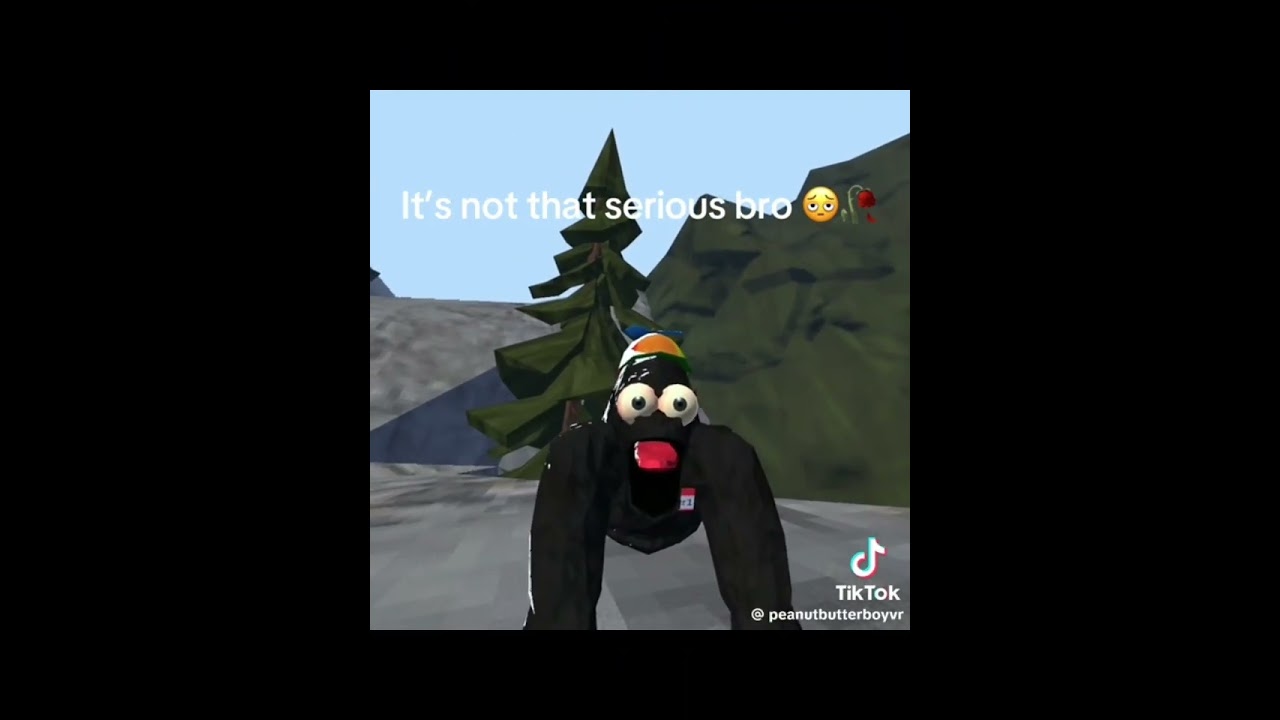 AC memes to sleep to