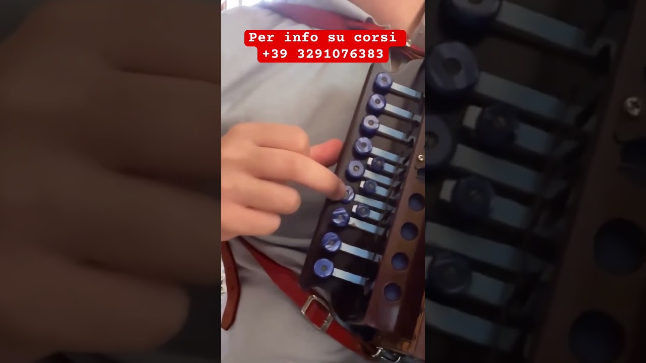 #tarantella #musica #tarantellacalabrese #organetto #diatonicaccordion #folklore #perte #lezione