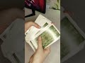 КОЛЛЕКЦИЯ ТАРО/ЧАСТЬ 1 ♠ винтажное таро, мини таро, николетта чекколи, небо и земля ♠