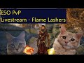 ESO PvP Livestream - Flame Lashers