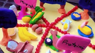 Make types of nutrients with me l #craft #project