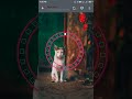 New preloader animation Design using HTML CSS and JavaScript