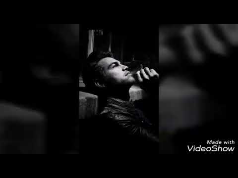 الشاعر محمود مفلح شاعر العودة والزيتون رثاء الشهيد باذن الله عبد الله داوود فلسطين المحتلة