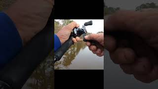 trying to catch up #fallfishing #bassfishing #liplesscrankbait #bankfishing