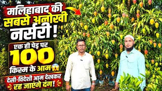  मलिहाबाद की सबसे अनोखी नर्सरी! एक ही पेड़ पर 100 किस्म के आम  | देसी-विदेशी आम देखकर रह जाएंगे दंग!