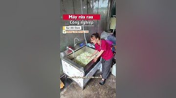 Máy Rửa Rau Công Nghiệp - Có Đáng “Đồng Tiền Bát Gạo”?