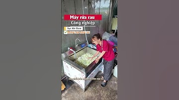 Máy Rửa Rau Công Nghiệp - Có Đáng “Đồng Tiền Bát Gạo”?
