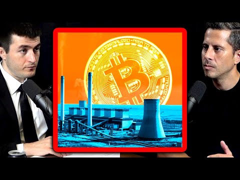 Does Bitcoin waste energy: F*ck your washing machine | Saifedean Ammous and Lex Fridman