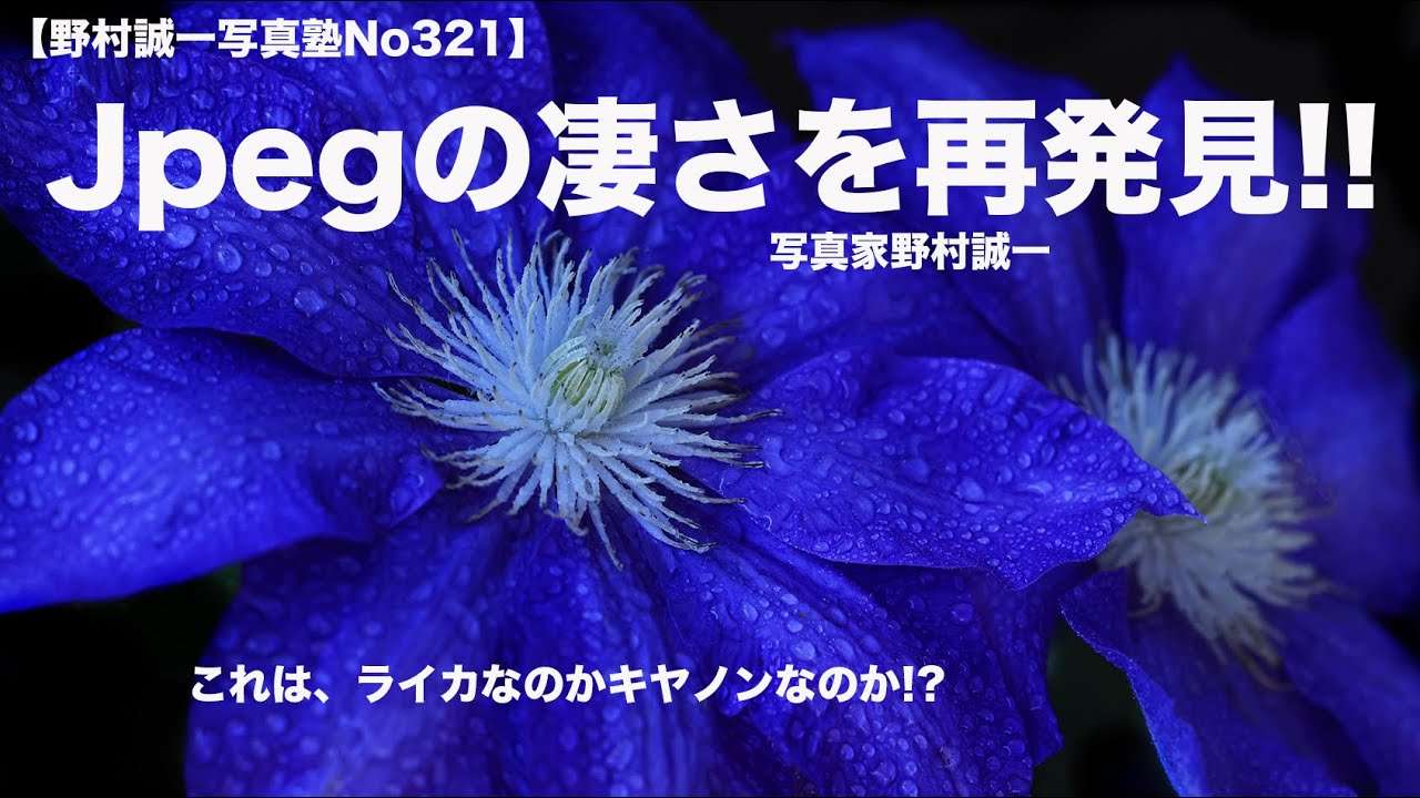 野村誠一写真塾No321】Jpegの凄さを再確認した!! 【作例写真あり
