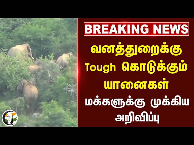 #breakingnews : Tough கொடுக்கும் யானைகள்.. மக்களுக்கு Forest Dept முக்கிய அறிவிப்பு | Krishnagiri