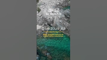 سوره عبس بصوت خاشع يطمن قلبك