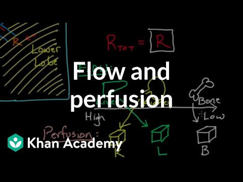 Flow and perfusion | Circulatory system physiology | NCLEX-RN | Khan Academy