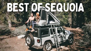 Overland JEEP CAMPING ALL ALONE at Sequoia National Park!
