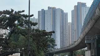 新蒲崗至九龍灣九巴視角 【2026Jan路境】
