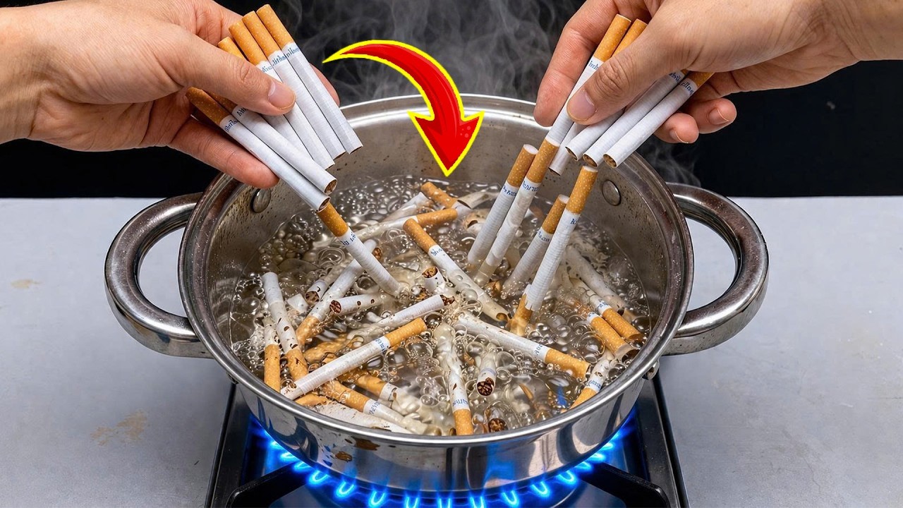 can smoking cigarettes cause boils Hidradenitis Suppurativa Facts Impact of smoking on disease