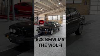 Sneak Peek!  The WOLF!  1988 BMW M5.  The e28 Legend!  For sale.