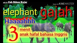 Lagu anak bahasa inggris nama ...