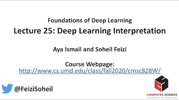 Lecture 25 - Deep Learning Foundations, Guest Lecture by Aya Ismail: Deep Learning Interpretations