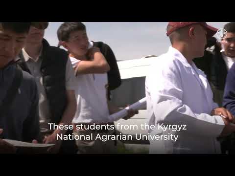 Protecting Kyrgyzstan against pesticide risk