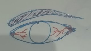 Easy Add Sharingan Eye into drawing with Canva App #itachi #easy #live #knowledge screenshot 5