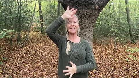 Light Language - Healing Rejection