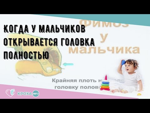 Когда у мальчиков открывается головка полностью