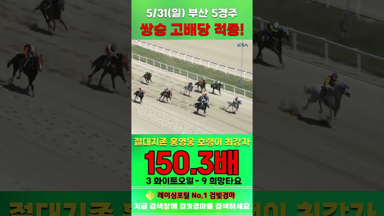 [부산 경마] 5월 31일 일요 5경주 절대지존 홍영웅 호랭이 최강자 전문위원 쌍승 고배당 적중 #경마 #automobile #하이라이트 #horse #한국마사회 #게임 #뉴스