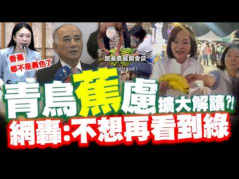 青鳥"蕉"慮緊咬一句話...柯志恩直球回應! 網留言力挺都是"台灣蕉"怒吼:不想再看到綠的