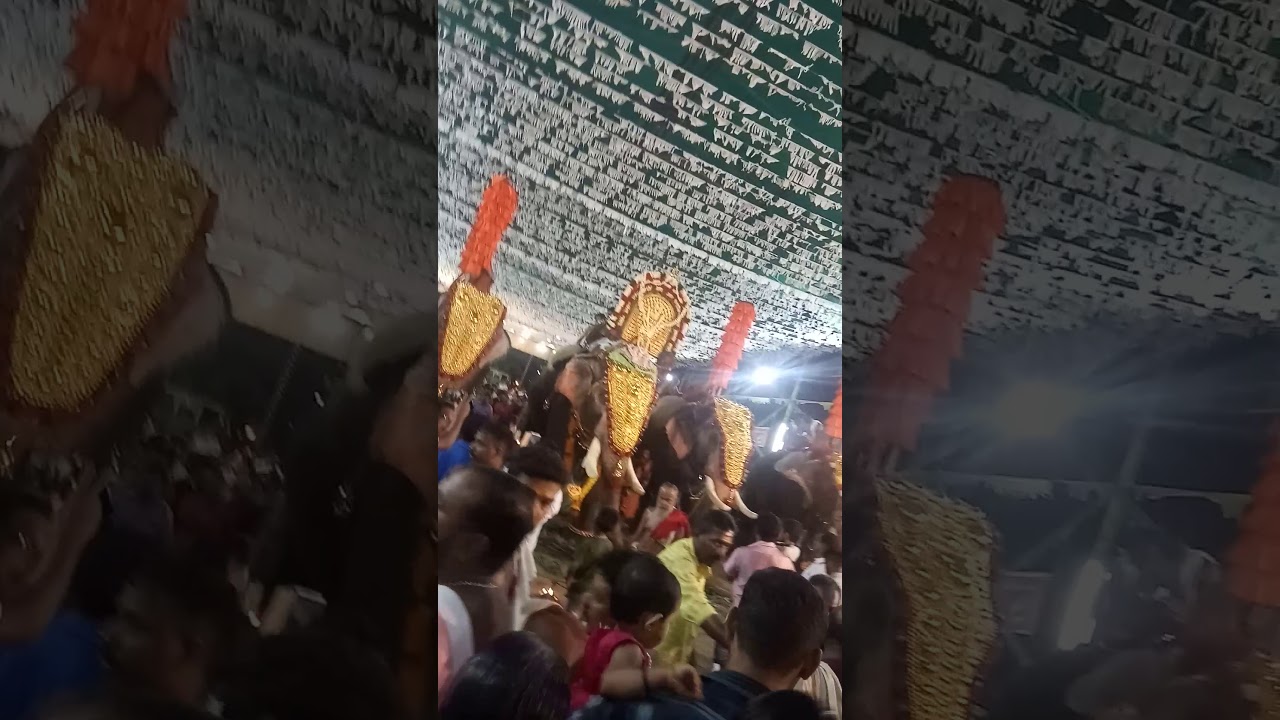 Palluruthy kavelamma pakkal puram(1)