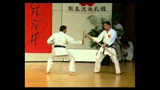 Kobudo Shoreikai - Tonfa Bunkai