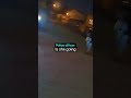 Woman Eats A Cat