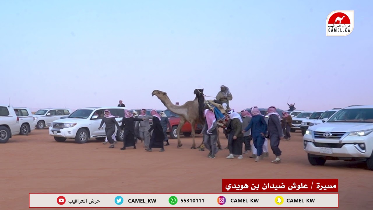 مسيرة الفردية معالي - للمالك : علوش بن ضيدان بن هويدي