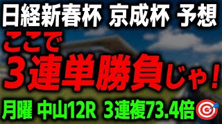 【日経新春杯 京成杯 2026 最終予想】自信の本命馬と最終買い目を徹底解説します