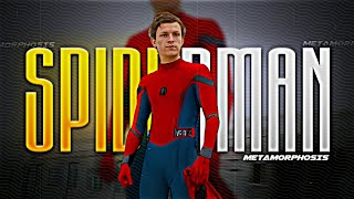 Spiderman X Metamorphosis Edit Spiderman Spiderman Whatsapp Status Metamorphosis Velocity